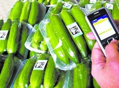 探索“掃碼觀菜、冷鏈出菜”新模式 讓農(nóng)產(chǎn)品更安全直達(dá)餐桌