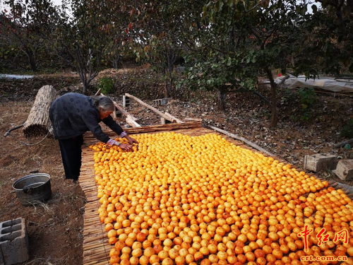 沂蒙老區(qū)旅游扶貧結(jié)碩果,農(nóng)產(chǎn)品變身旅游商品